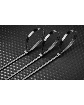 Bridas Negras 4.8x200mm Pack 25 Unidades | Sujeción Cables Profesional
