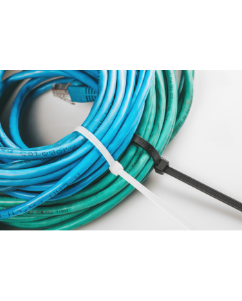 Bridas Negras 4.8x200mm Pack 25 Unidades | Sujeción Cables Profesional