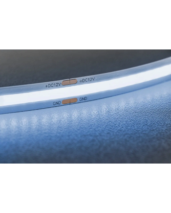 Tira LED 12V 320 LED/m 5 m Blanco Frío | 8W/m