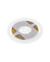 Tira LED 12V 320 LED/m 5 m Blanco Frío | 8W/m